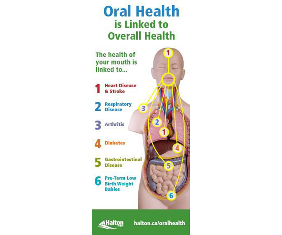 oral health is linked to overall health